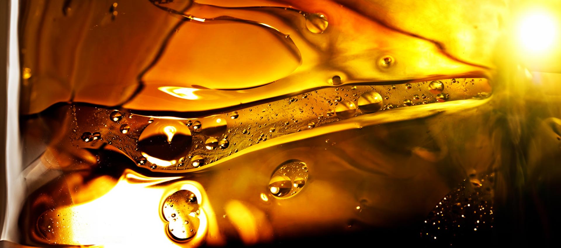 banner01